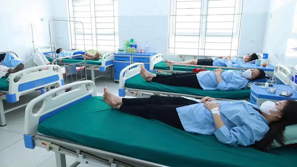 Bánh mì nhiễm khuẩn Salmonella gây ngộ độc 62 người Nghệ An
