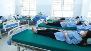 Bánh mì nhiễm khuẩn Salmonella gây ngộ độc 62 người Nghệ An
