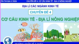 Bí quyết ôn thi tốt nghiệp THPT đạt điểm cao: Cơ cấu kinh tế nông nghiệp