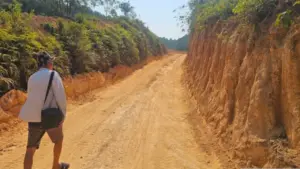 Chủ rừng kiến nghị cho tiếp tục khai thác gần 40ha rừng không hồ sơ pháp lý ở Huế