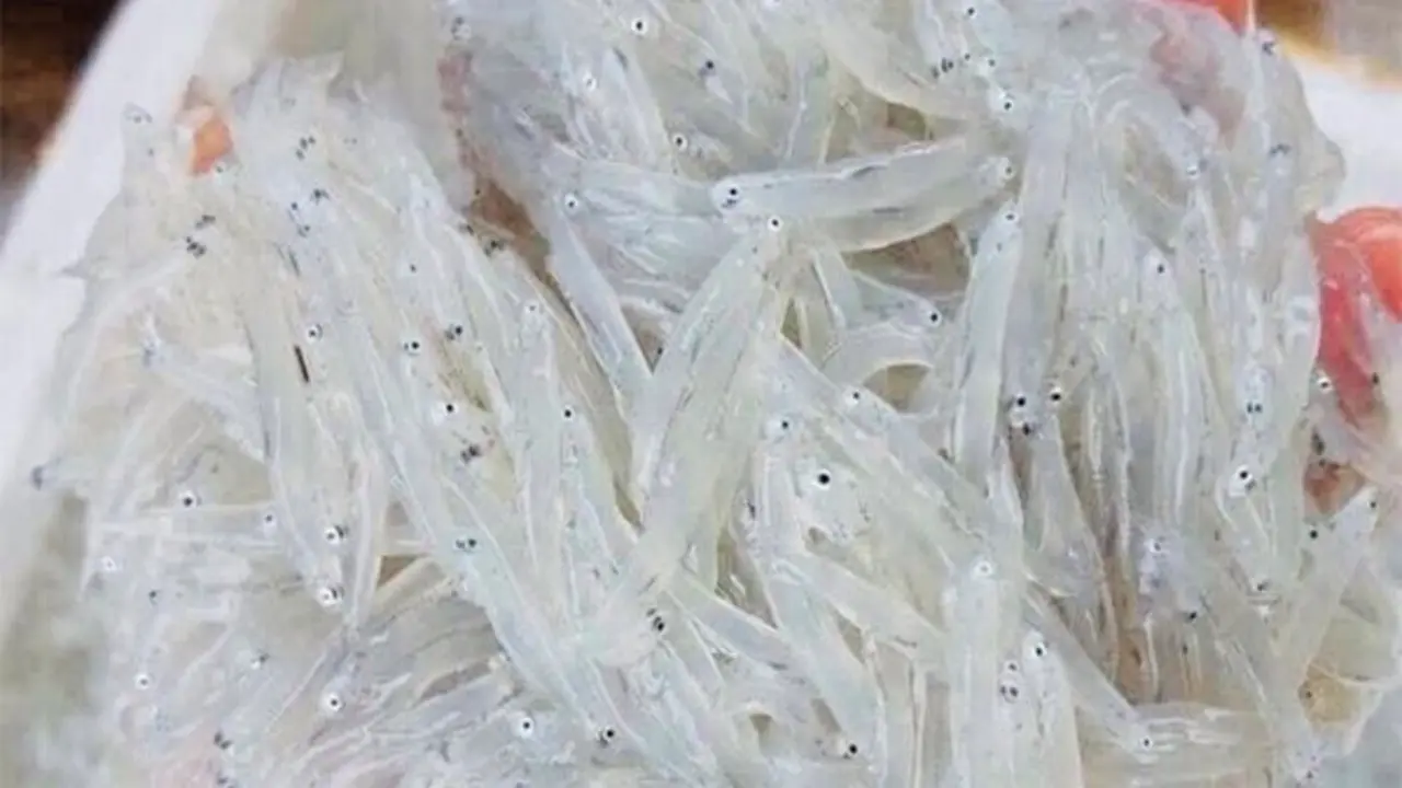 Đặc sản quý mỗi năm chỉ có một mùa, rất giàu canxi, từ già tới trẻ ai cũng mê