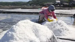 Đánh thức đồng muối Sa Huỳnh: Giữ nghề trăm năm, mở lối làm du lịch