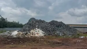 Đồng Nai: Khởi tố 2 bị can đổ chất thải da bò gây ô nhiễm môi trường