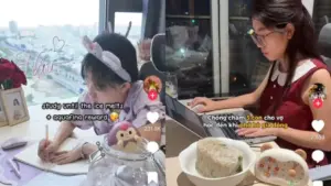 ‘Học đến khi tan đá’ là gì mà giới trẻ rần rần làm theo?