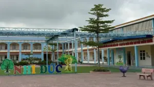 Không qua đấu thầu, doanh nghiệp vẫn được cấp thực phẩm vào trường học
