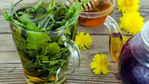 Loài cây mọc đầy vườn ở Việt Nam: Bị thờ ơ, coi là cỏ dại nhưng thế giới lại săn lùng như “thần dược”