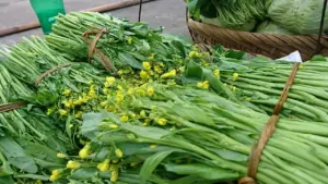 Loại rau trong nhóm tốt nhất thế giới trồng bạt ngàn ở Việt Nam