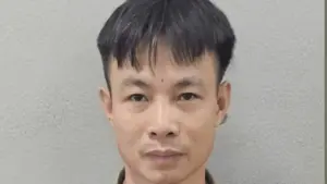 Mồi lửa sau cuộc nhậu thiêu rụi xưởng gỗ 1,9 tỷ đồng: Lời khai bất ngờ của đối tượng