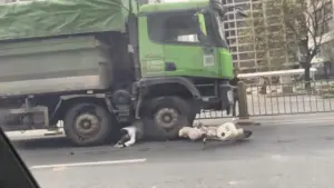 Người phụ nữ đi xe máy chui ra từ gầm xe ben