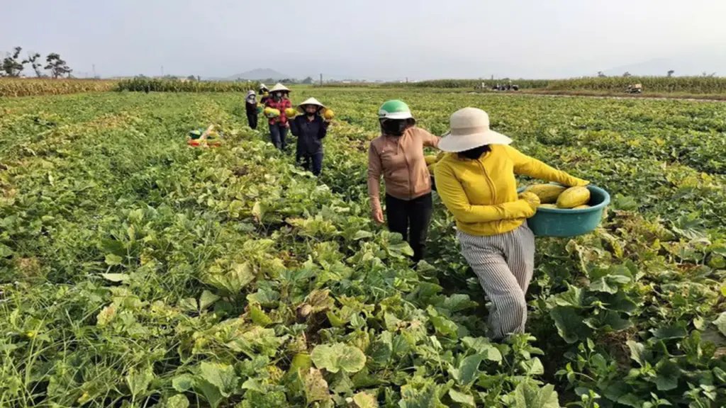 Nhà không cần khóa cửa, hàng xóm mang qua mang lại tô canh nóng, thời đó đã thành xa xưa?