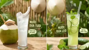 Nước dừa hay nước dưa leo: Loại nào bù nước tốt hơn và phù hợp với bạn?