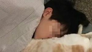 Ôm mèo mà không rửa tay, cậu bé 14 tuổi "sốc" khi biết mình "gần như mù lòa"