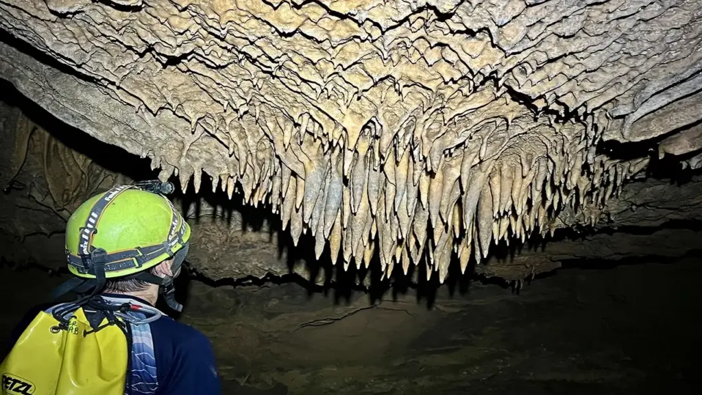 Quảng Trị công bố 26 hang động mới phát hiện