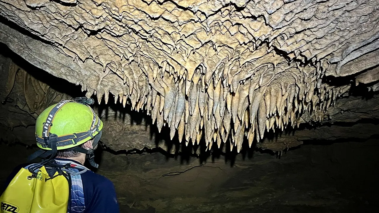 Quảng Trị công bố 26 hang động mới phát hiện