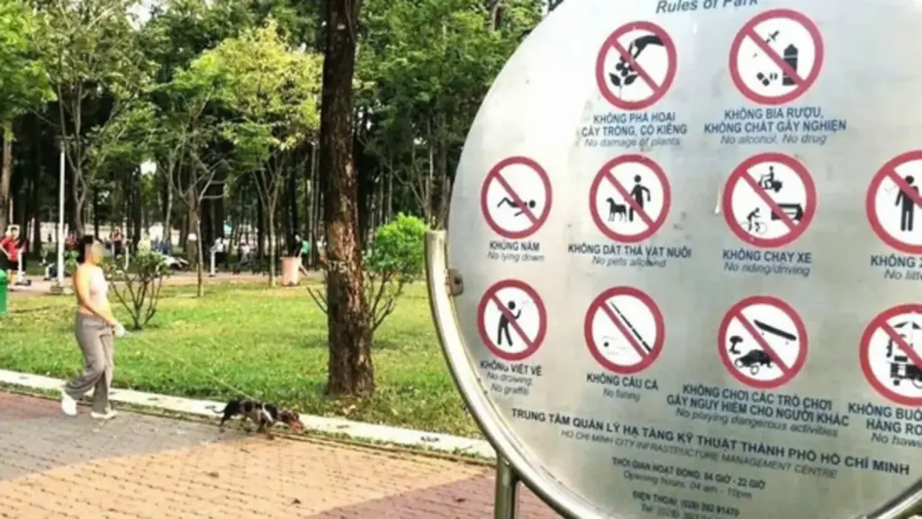 Rùng mình cảnh chó không rọ mõm giữa mùa nắng nóng, nguy cơ dại bủa vây
