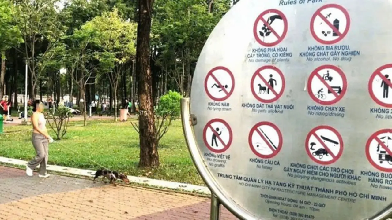 Rùng mình cảnh chó không rọ mõm giữa mùa nắng nóng, nguy cơ dại bủa vây