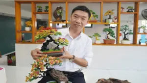 Thầy giáo Toán làm bonsai từ dây nhôm, thu chục triệu đồng mỗi tháng