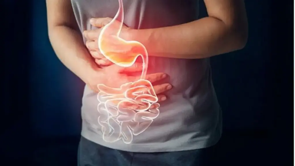Vi sinh vật trong ruột có ảnh hưởng đến chất lượng tinh trùng, ‘phong độ’ nam giới?