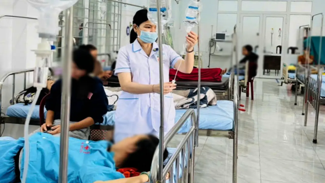 Vụ 86 người ngộ độc sau ăn bánh mì ở Đắk Lắk: Do vi khuẩn Salmonella