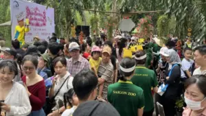 Xem hươu cao cổ 'làm đám cưới': Đông kín người tại Thảo Cầm Viên Sài Gòn