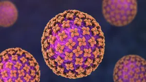 3 người vừa tử vong vì hantavirus: Loại virus "tấn công phổi" nguy hiểm ra sao?