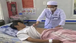 9 người Quảng Trị ngộ độc sau ăn ve sầu chiên