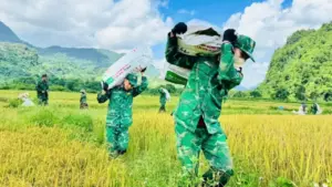 Ảnh: Thấm đẫm tình quân dân trên cánh đồng biên giới