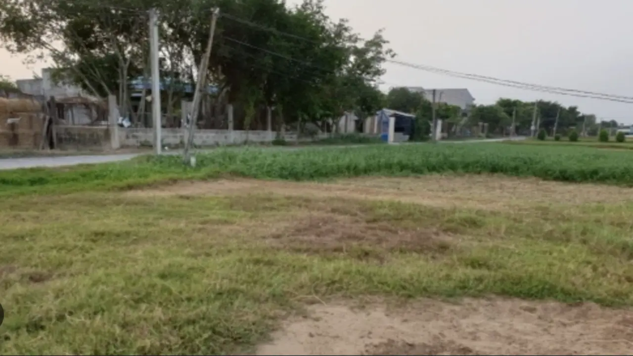 Bài học bán lỗ đất nền để mua căn hộ quận 2