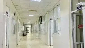 Bé gái 14 tuổi tử vong do viêm não Nhật Bản
