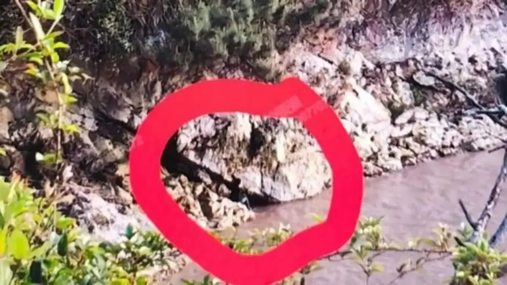 Bé trai 6 tuổi suýt mất mạng trong khi cha mẹ mải mê chụp ảnh