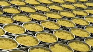 Bên trong nhà máy mì ăn liền lớn nhất Hàn Quốc