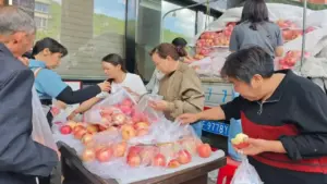 Bệnh viện giúp nông dân đột quỵ bán sạch 4 tấn táo
