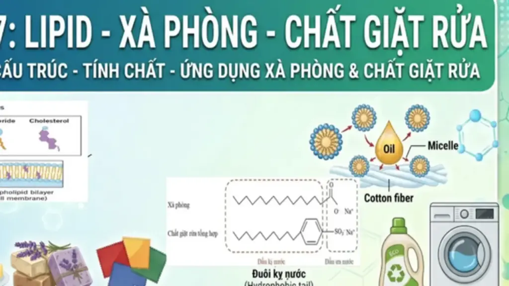 Bí quyết ôn thi tốt nghiệp THPT đạt điểm cao: Liên hệ thực tiễn môn hóa