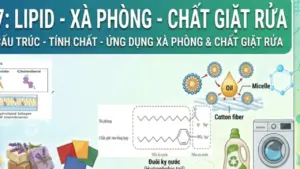 Bí quyết ôn thi tốt nghiệp THPT đạt điểm cao: Liên hệ thực tiễn môn hóa