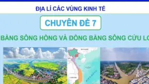 Bí quyết ôn thi tốt nghiệp THPT đạt điểm cao: Vùng kinh tế đồng bằng