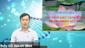 Bí quyết ôn thi tốt nghiệp THPT đạt điểm cao: Xác định kiểu gen của bố mẹ