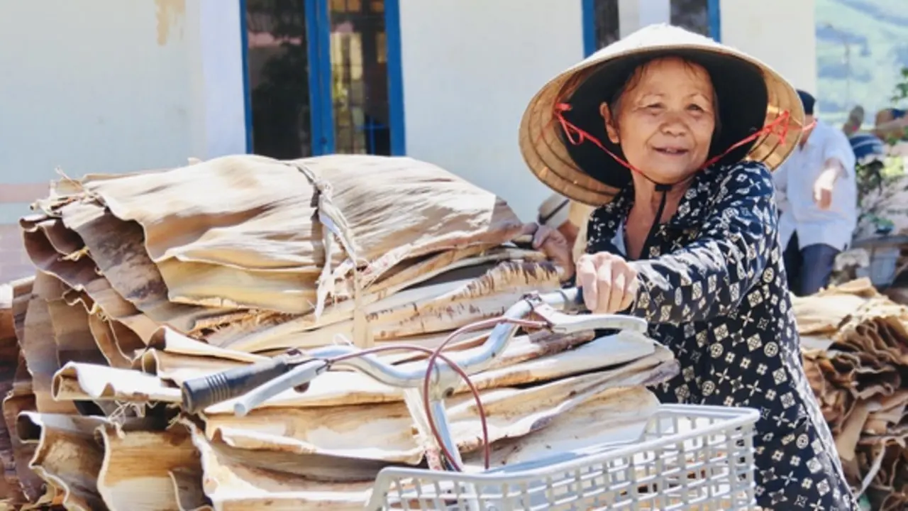Biến “rác vườn” thành sản phẩm xuất ngoại, người dân Quảng Ngãi kiếm tiền triệu từ mo cau
