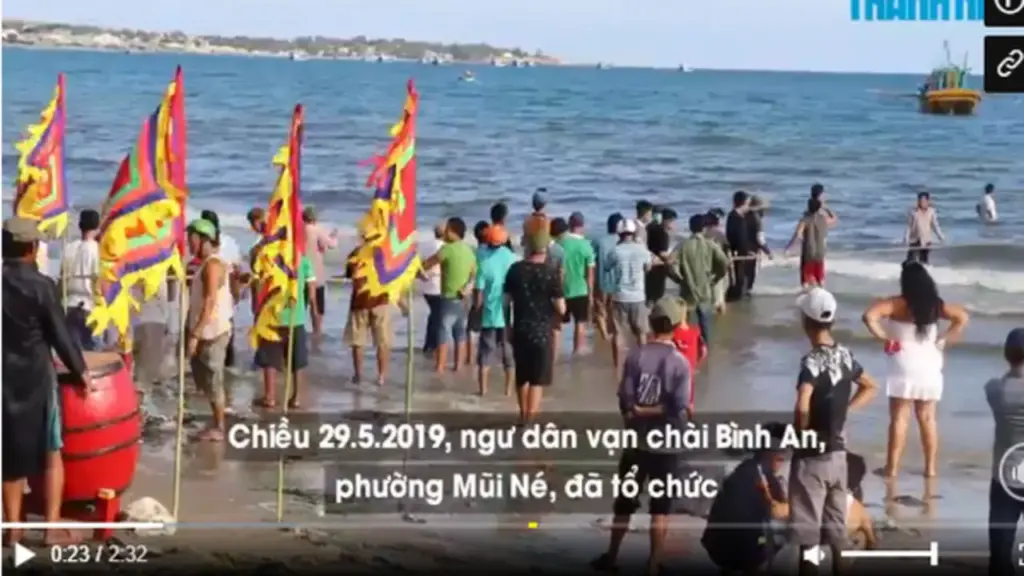 Cá voi trở lại Mũi Né: Tín hiệu bình yên từ biển?