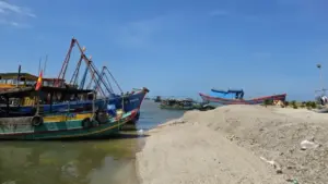 Cận cảnh dùng cả ngàn khối vỏ sò, ốc san lấp trái phép bờ sông Cửa Lấp