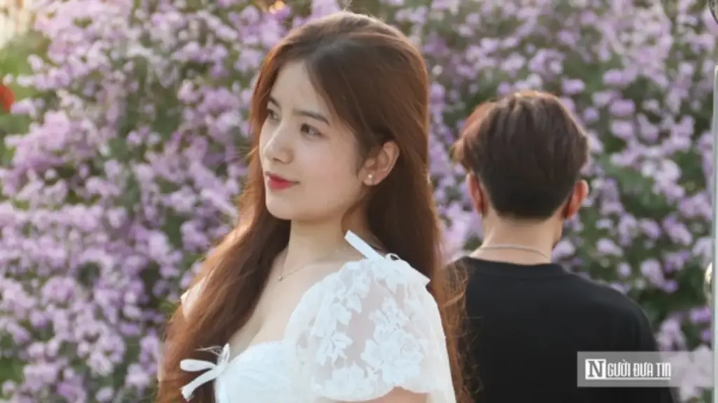 Cây bằng lăng "hot" nhất Hà Nội lúc này, giới trẻ chen chân săn ảnh