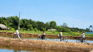 Cồn Chim, ốc đảo xinh đẹp vùng sông nước phương Nam