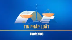 Công an TP.HCM xử lý người vẽ bậy lên rào chắn công trình cầu đi bộ qua sông Sài Gòn
