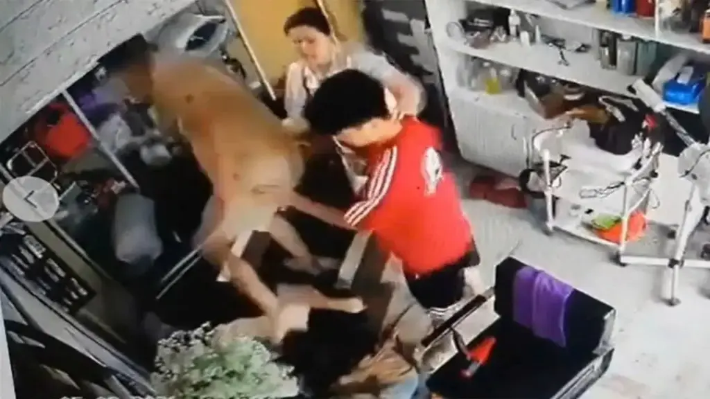 Công an vào cuộc vụ người phụ nữ ôm con nhỏ bị hành hung ở Hà Nội