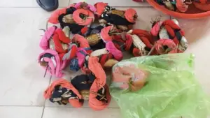 Cười ra nước mắt vì 'mua 2,5 ký vải lãi 7,5 kg cua'