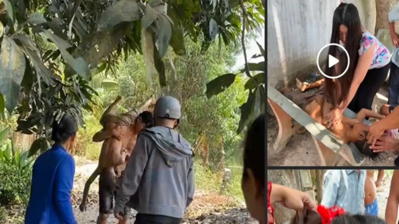 Đang làm tóc trong tiệm, nữ giảng viên đại học kịp thời cứu bé trai đuối nước
