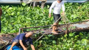 Đi tập thể dục phát hiện thi thể nổi trên sông Tiền