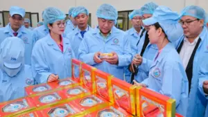 Đoàn Đại biểu cấp cao Viêng Chăn tham quan nhà máy yến sào SANVINEST Khánh Hòa