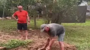 “Du lịch độc lạ ở Việt Nam”, khách Tây nhổ cỏ, trồng rau và dự... đám cưới