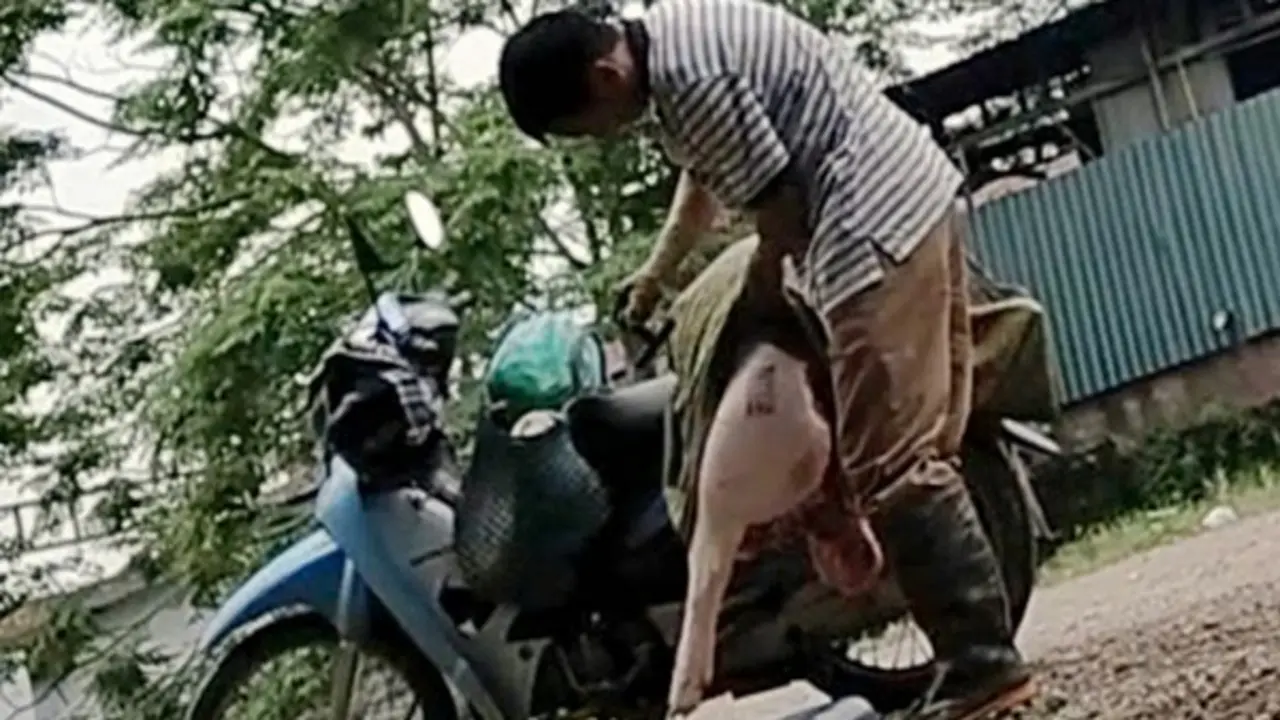 Hà Nội chỉ đạo nóng vụ thú y để thương lái đóng dấu kiểm dịch thịt lợn