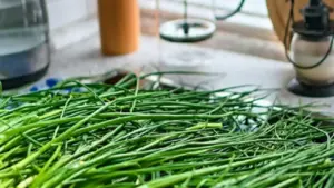 Hái cây “đẹp mắt” vì tưởng rau quý, gia đình 3 người suýt mất mạng sau bữa ăn